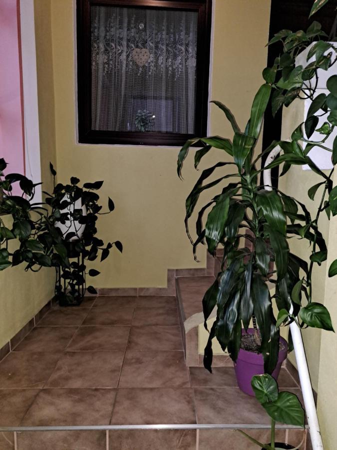 La Bibicu Otel Agnita Dış mekan fotoğraf
