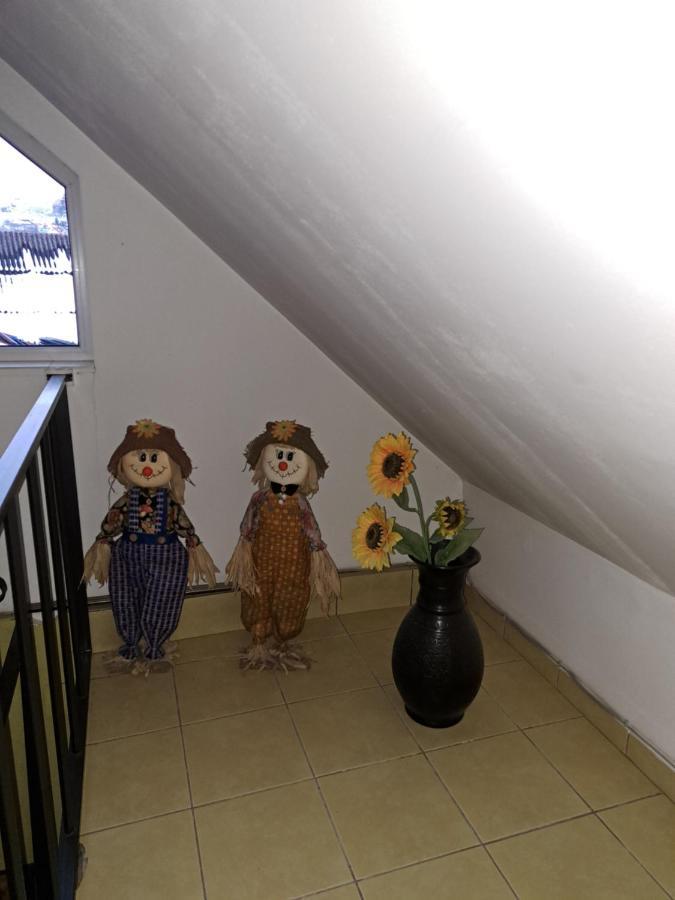 La Bibicu Otel Agnita Dış mekan fotoğraf