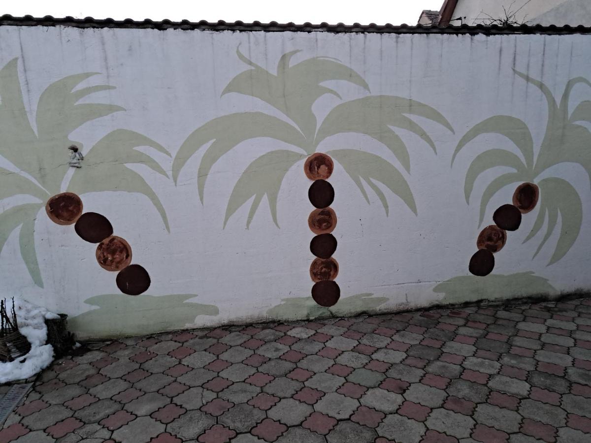 La Bibicu Otel Agnita Dış mekan fotoğraf